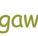 Bungawitta Child Care Centre - Melbourne Child Care
