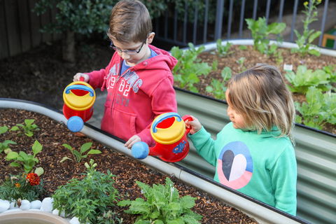 Sylvania Waters Early Education - Melbourne Child Care 1