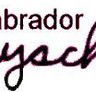 Labrador Playschool - Melbourne Child Care