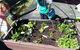 Dynamic Learners Early Childhood Centre - thumb 3