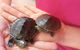 Dynamic Learners Early Childhood Centre - thumb 4