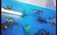 Dynamic Learners Early Childhood Centre - thumb 5