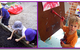 Kiama Kids Pre-School & Childcare Centre - thumb 2