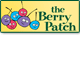 Berry Patch Preschool - Melbourne Child Care