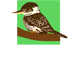 Little Kookas Kingsthorpe Childcare - Melbourne Child Care